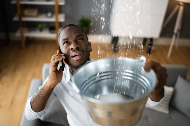 Best Water damage mitigation services  in Erath, LA