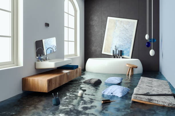 Best Flooded house restoration  in Erath, LA