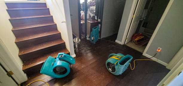 Best 24-hour water damage restoration  in Erath, LA