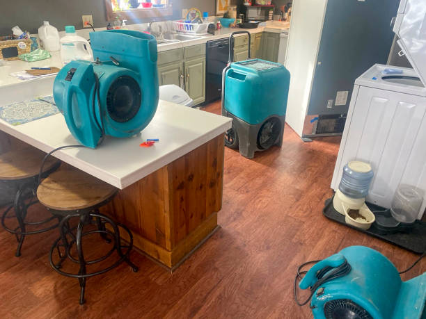 Best Water damage repair service  in Erath, LA