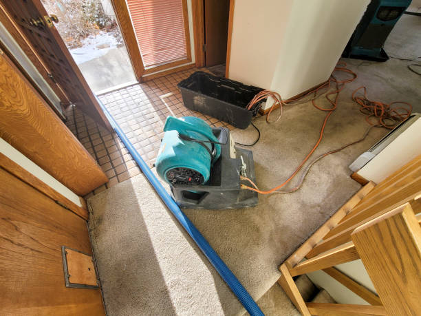 Best Commercial water damage restoration  in Erath, LA