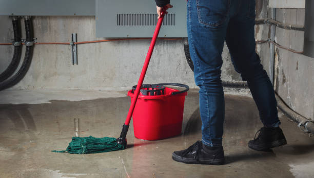 Best Water damage restoration near me  in Erath, LA