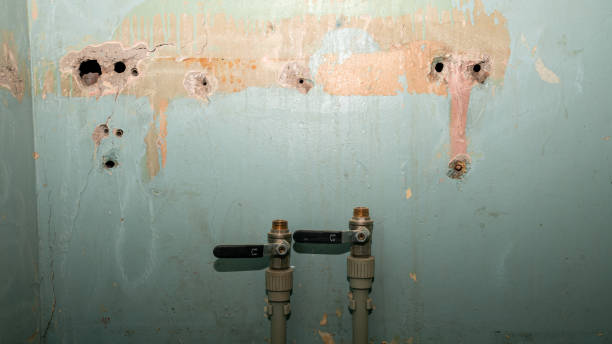 Best Ceiling water damage repair  in Erath, LA