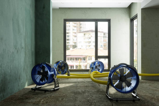 Best Ceiling water damage repair  in Erath, LA